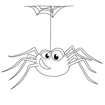 Picture of a spider