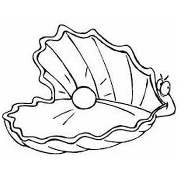 Image ofmother of pearl shell